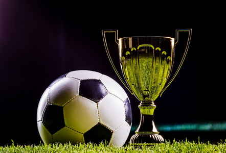 来自广州 来自广州